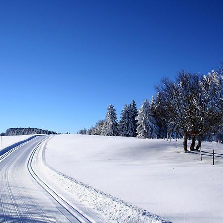Logis Le Vernay Autrans-Meaudre-en-Vercors Exterior foto